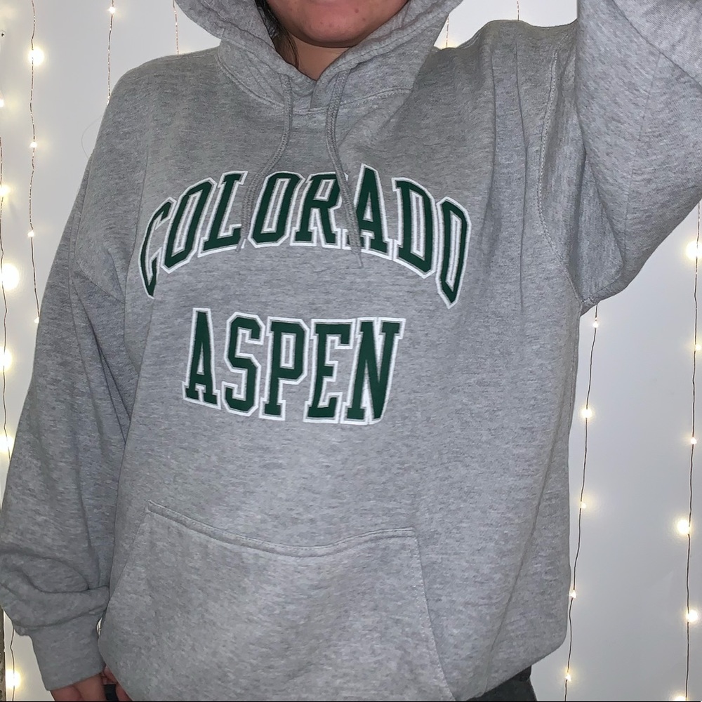 Brandy Melville Colorado Aspen Hoodie